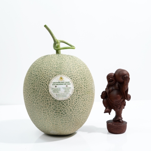 Dưa lưới xanh ruột vàng 